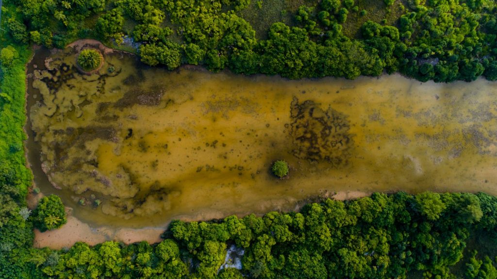 Programa de Monitoramento - Plano Básico Ambiental 